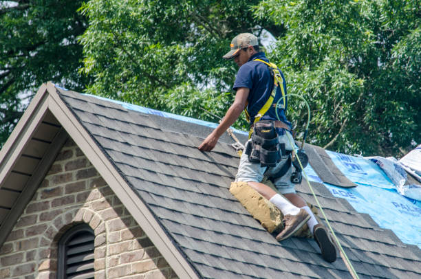 Roof Gutter Cleaning in La Riviera, CA